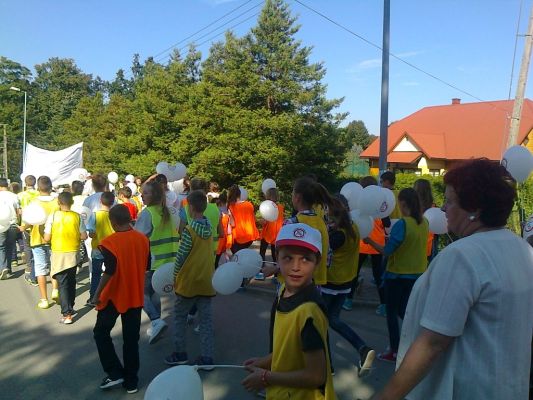 NO PROMIL - NO PROBLEM w Wi�niowej, EK 