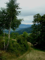 W�gl�wka - �ysina, fot. Ksymena Jasiewicz 